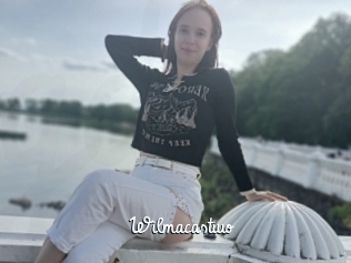 wilmacastiuo Galerie du Sexe