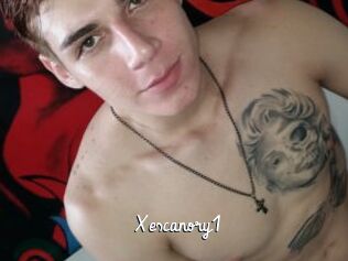 Xescanory1