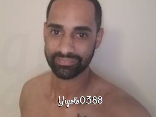 Yigolo0388