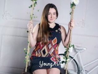 YoungXDi