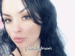 Yourkittyforever