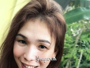 Ynagarcia