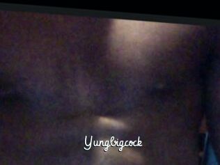 Yungbigcock