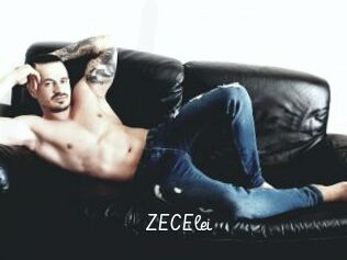ZECElei
