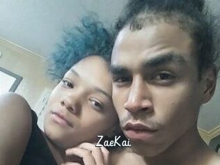 ZaeKai Galerie du Sexe