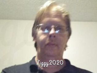 Ziggy2020