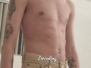ZorroBoy