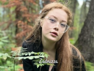 Zadnizza