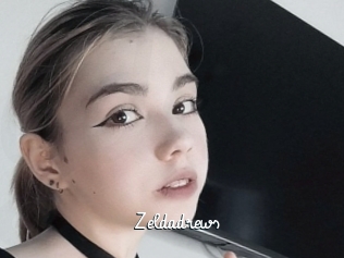 Zeldadrews